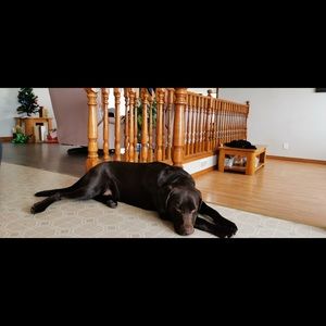 Meet your Posher, Judith